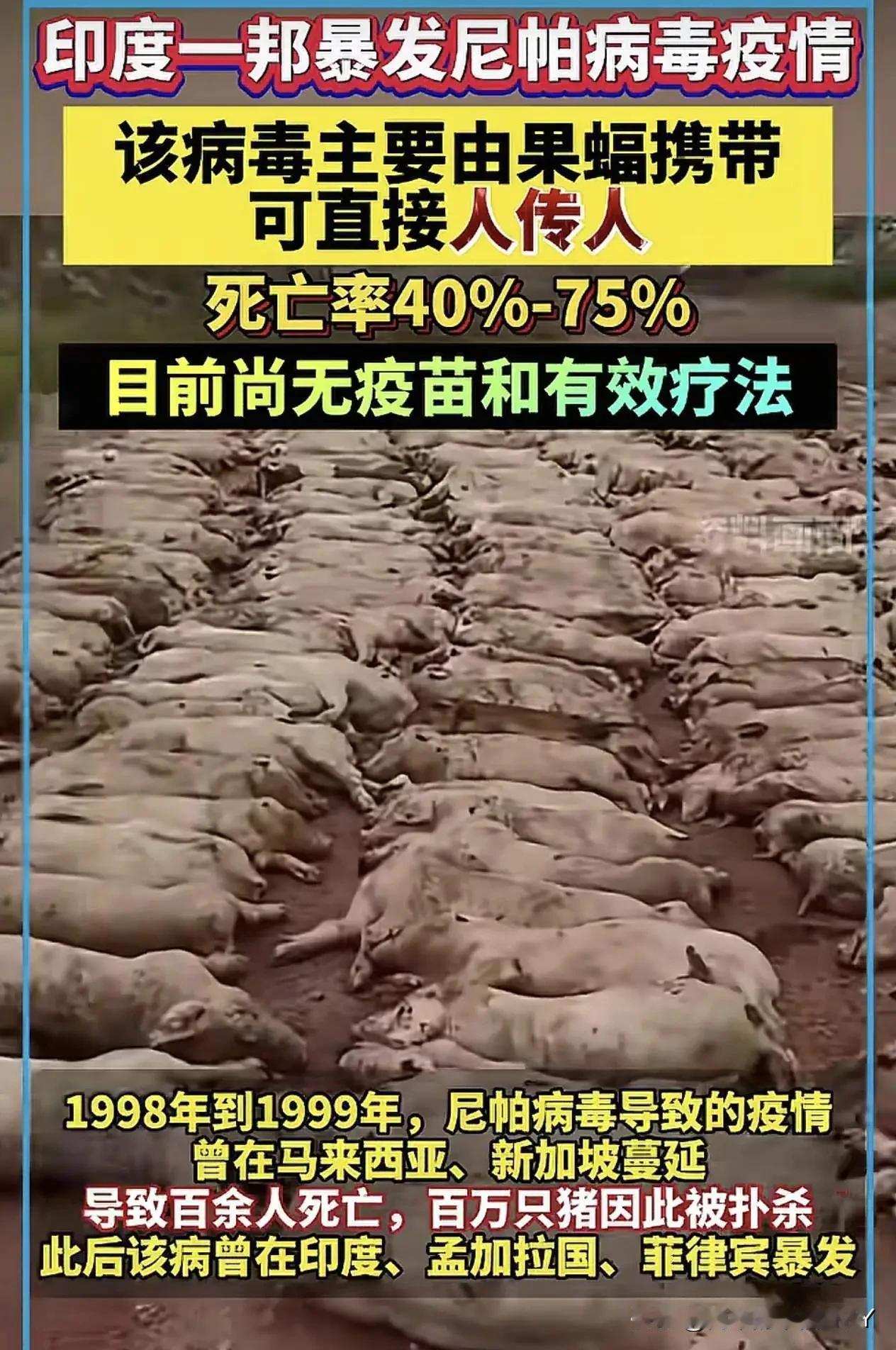 时隔6年，从当时的新冠病毒到现在的尼帕病毒，希望这次不要像上次那般隔离、核酸、封