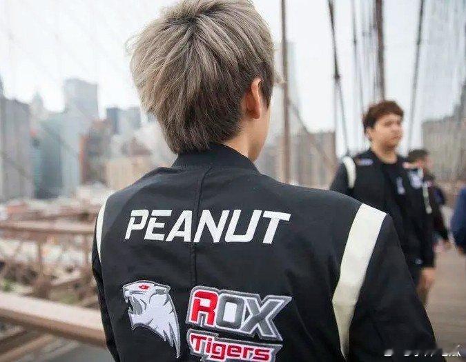 再见小花生终有一别!2016年RoxTigers五人组全部告别职业赛场随着今