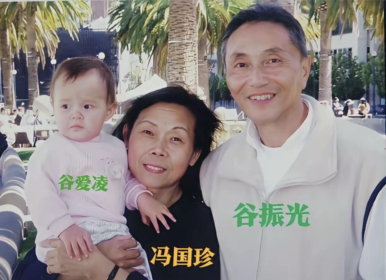 谷爱凌能一路走到今天，成为世界顶尖滑雪运动员、斯坦福学霸，背后的家庭支撑真的藏不