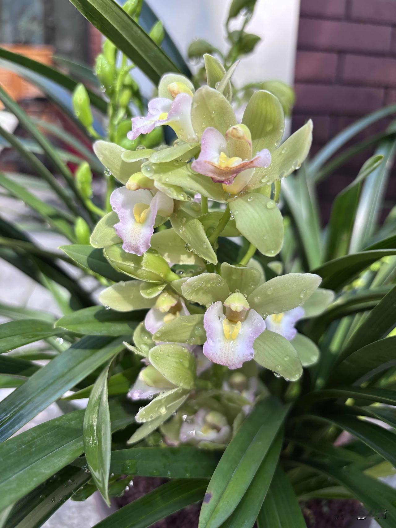 中年人必须保持的“良好习惯”：1、每日更换内裤。2、坚持提肛运动，每天进行1