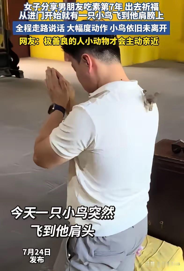 四川成都一对情侣前往寺庙还愿，坚持吃素七年的男子，在还愿过程中突然被一只小鸟主动