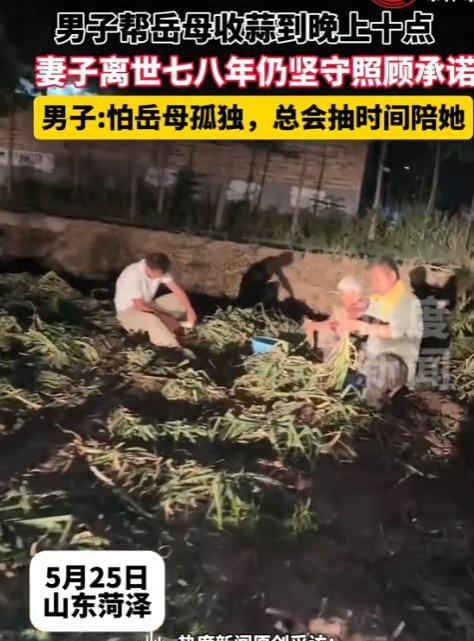 “这样的女婿上哪去找”，山东菏泽，一男子连续7年帮衬岳母家，只因为这是7年前妻子