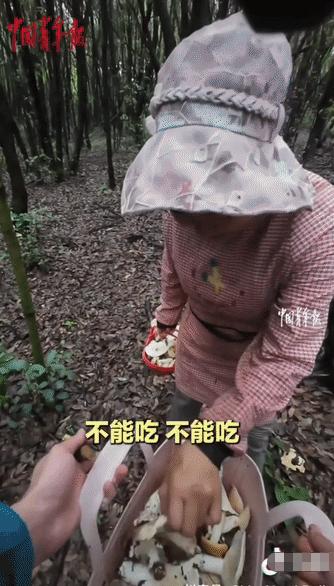 “笑不活了！”云南，两名游客上山捡菌子，偶遇一位当地阿姨，就让阿姨帮忙挑毒菌，