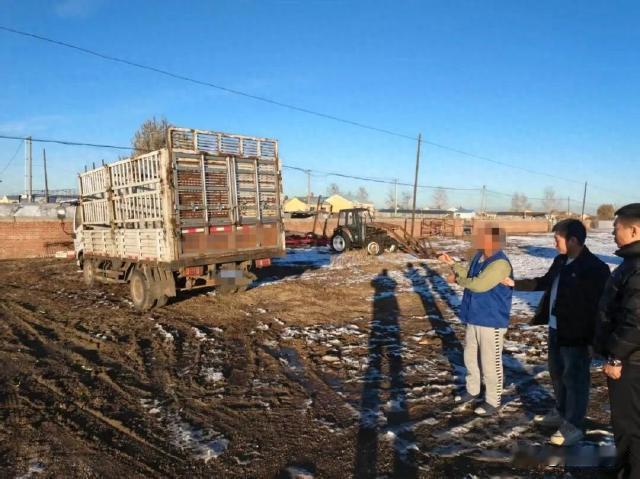 呼伦贝尔，邢女士报了警，称自己放养在锡尼河东苏木草场上的10头牛被偷走了，民警接