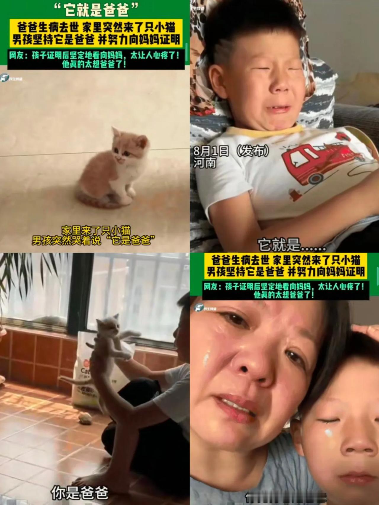 看到这事儿我真的泪目了！河南有个小男孩，梦到因病离世的爸爸变成了猫。结果第二天