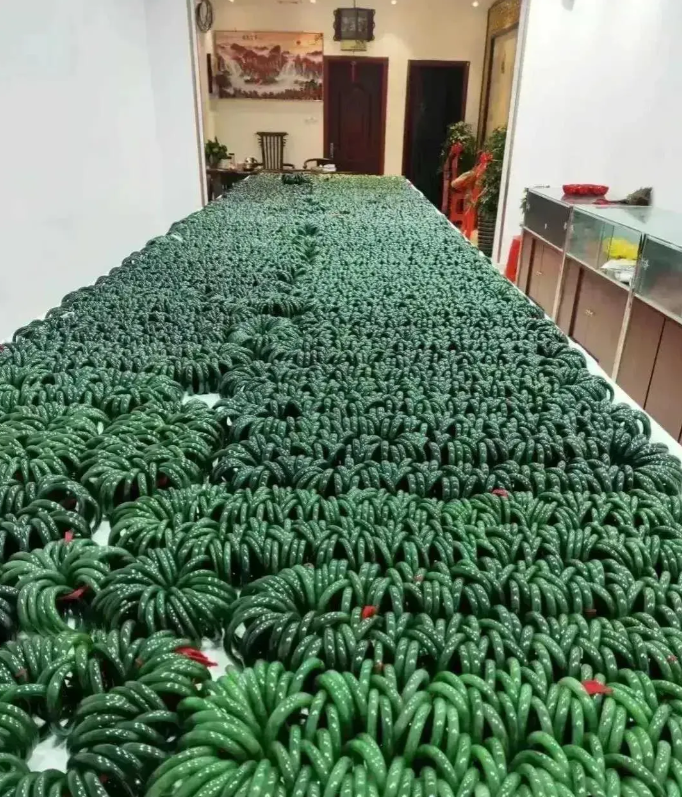 说中国的房子过剩，你们看这个呢？
