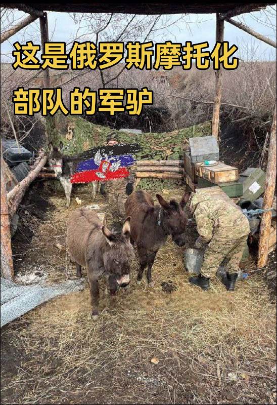 这是来源：Военный Осведомитель