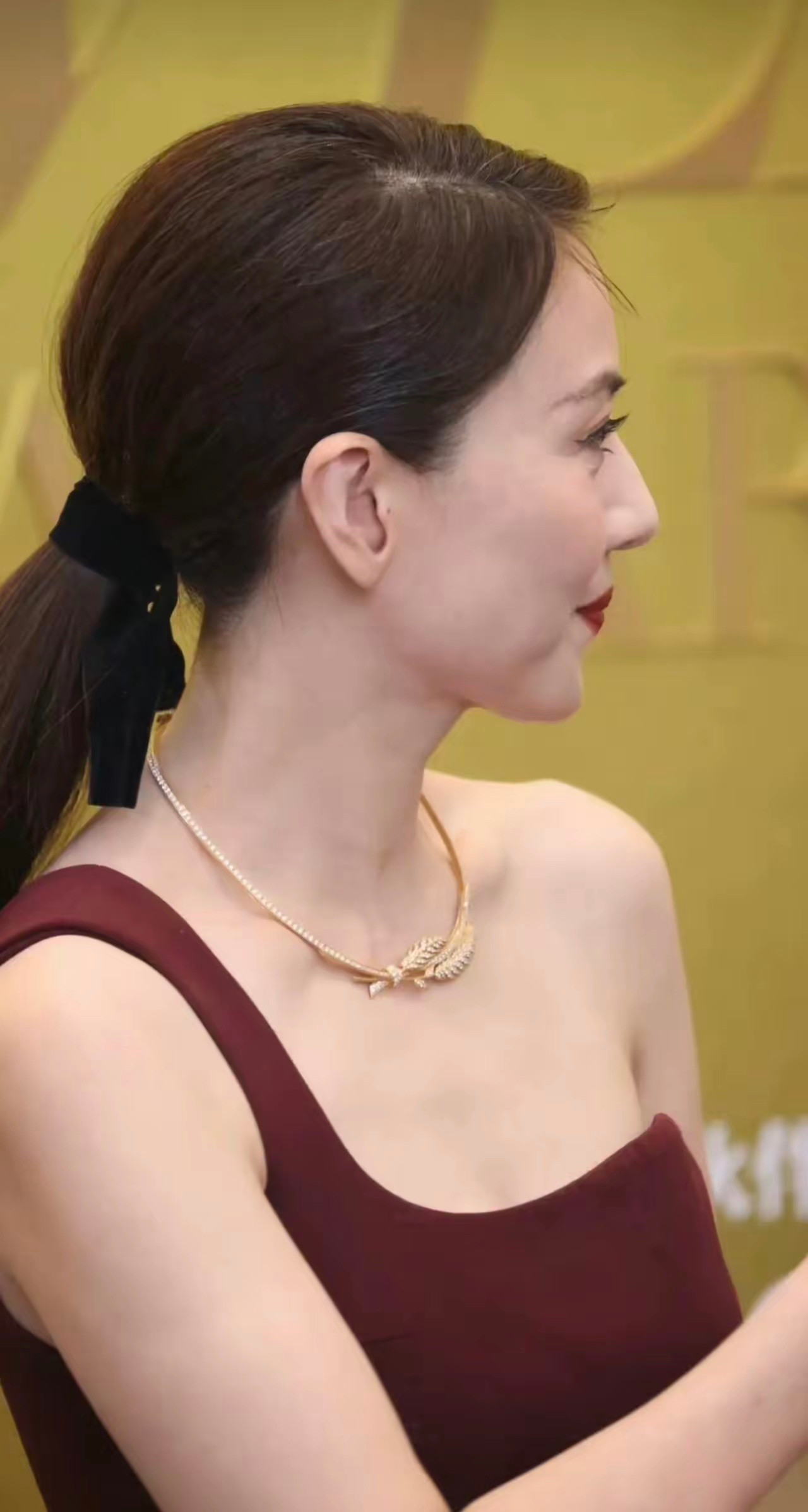 就说高圆圆的发量这也太猛了吧扎起来一大把容貌依旧迷人，虽然奔五了​​​