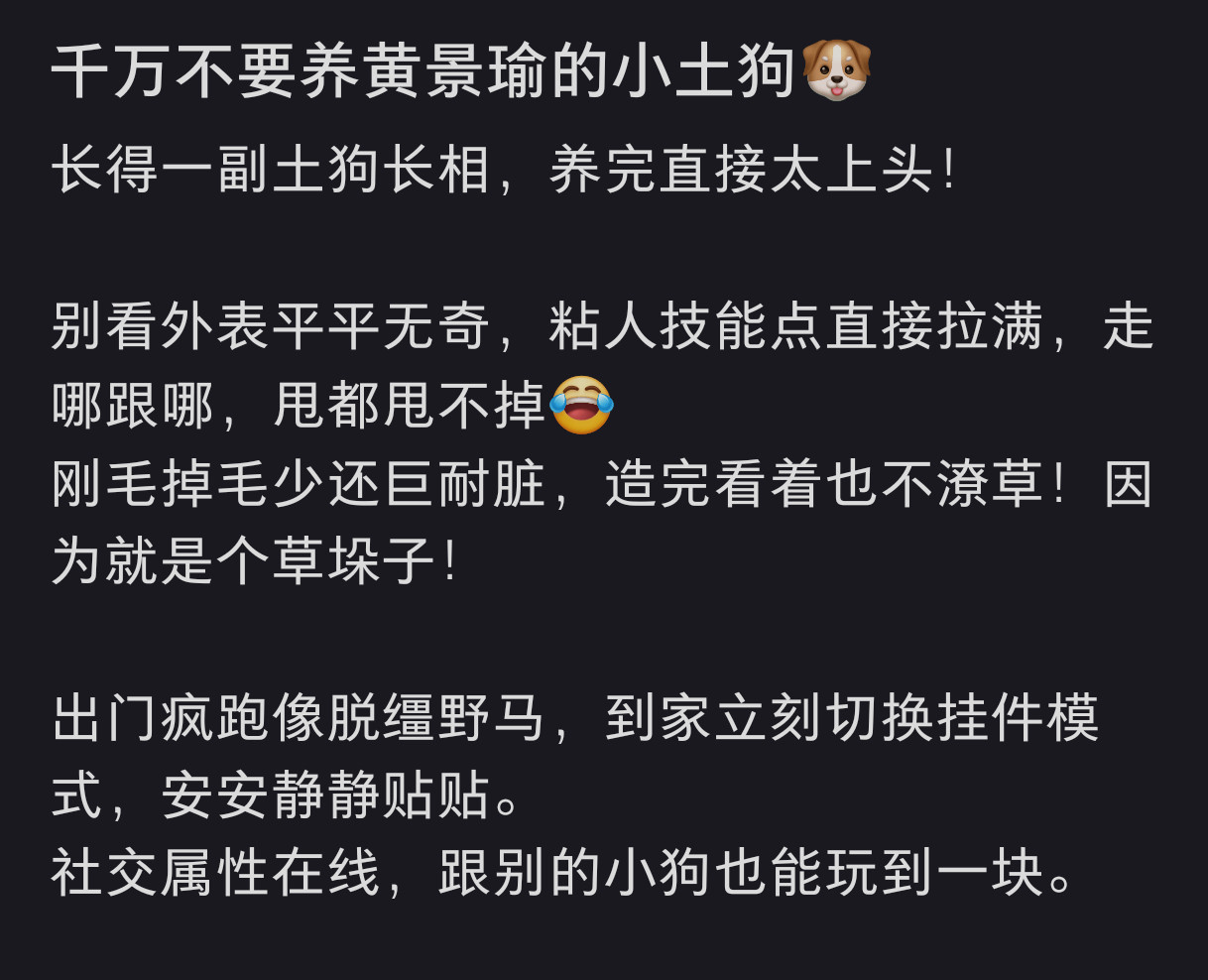笑死我了，诺维奇梗犬的个性在黄景瑜发的夏天日常里完全都体现出来了外出疯跑，在家黏