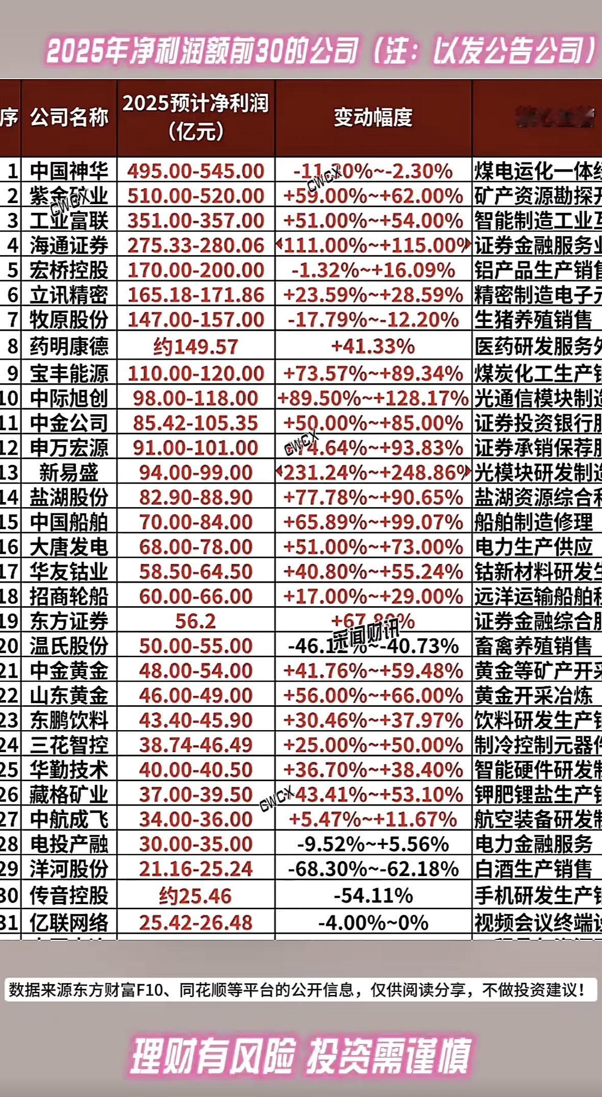 2025年净利额前30公司分析，投资需谨慎！