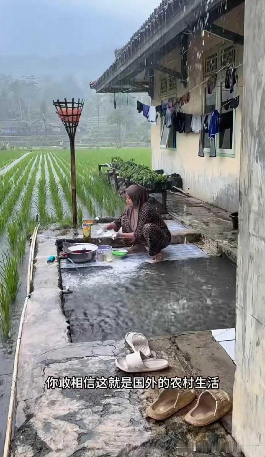 屋里没有一样东西是不发霉的。