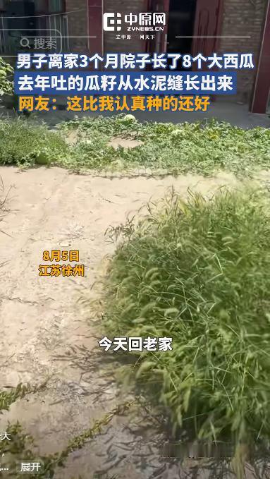 “离了个大谱！”江苏徐州，一男子离开老家3个月，临走之前在院子里洒了除草剂，谁知