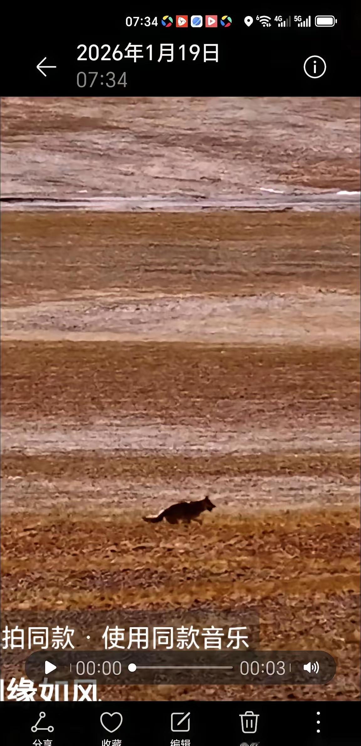 那个写了《重返狼群》的女作家，把自己的出版社告上了法庭。出版社的账本摊开，上面