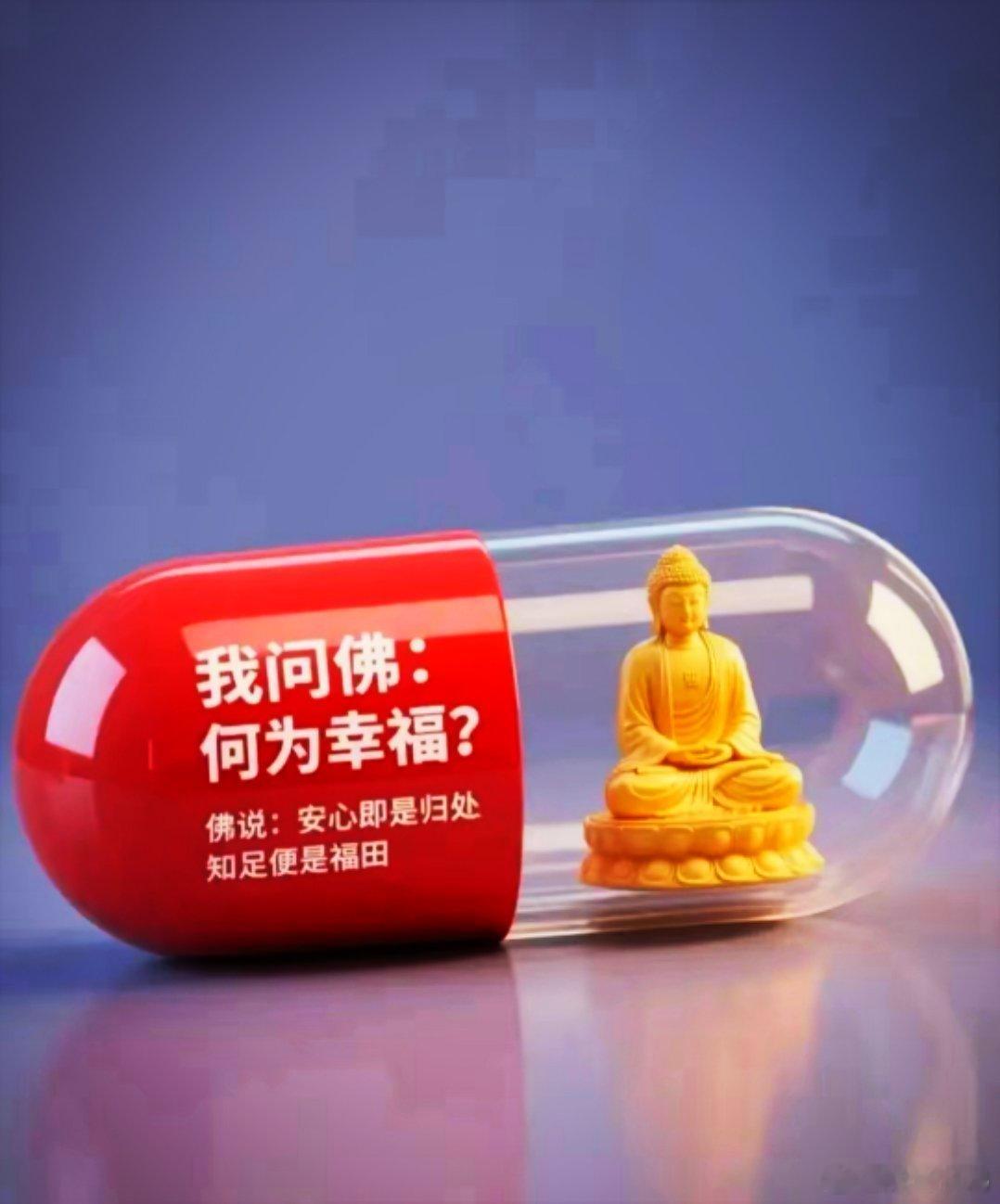 快乐自有滋味，不必攀比他人，把握当下，心怀感恩，便是最美的快乐。[玫瑰]​​​