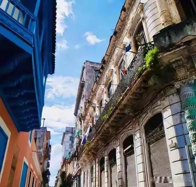 古巴人饿了，就有人给粮食，我不理解，没有战争，没有内乱，也不是鸟不拉屎的地方，土