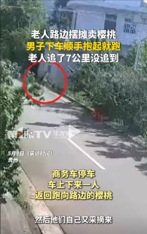 “缺德到家了！”5月9日贵州，一老人将辛苦摘的樱桃放在路边售卖，没想到，一辆路过