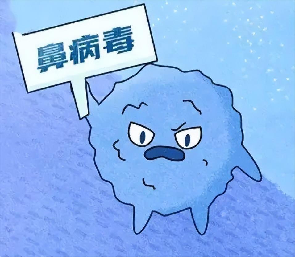 热搜第一的鼻病毒，竟是潜伏68年的“感冒老油条”！最近刷朋友圈、刷热搜，一半