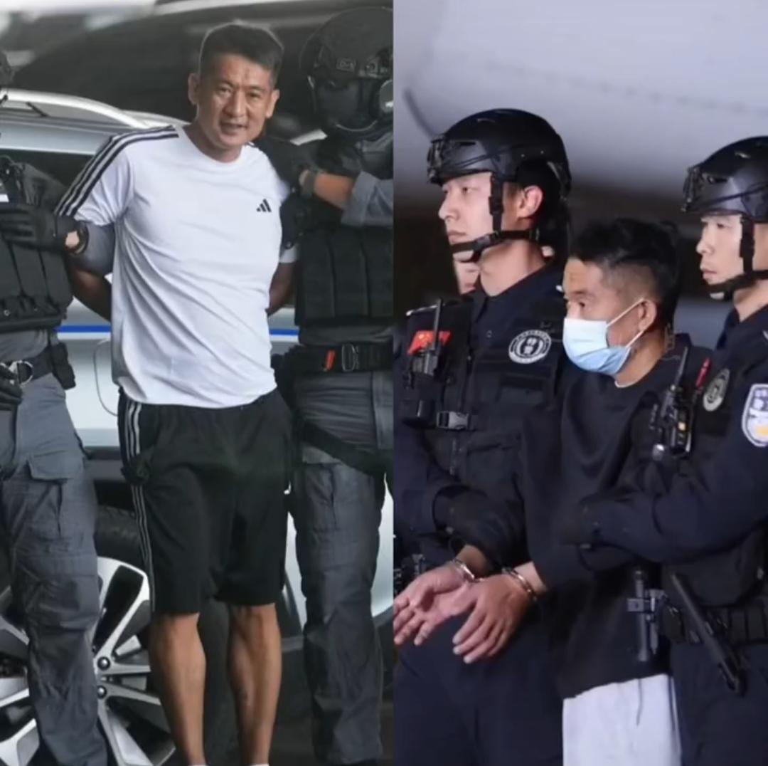 终于把他捉回来了！