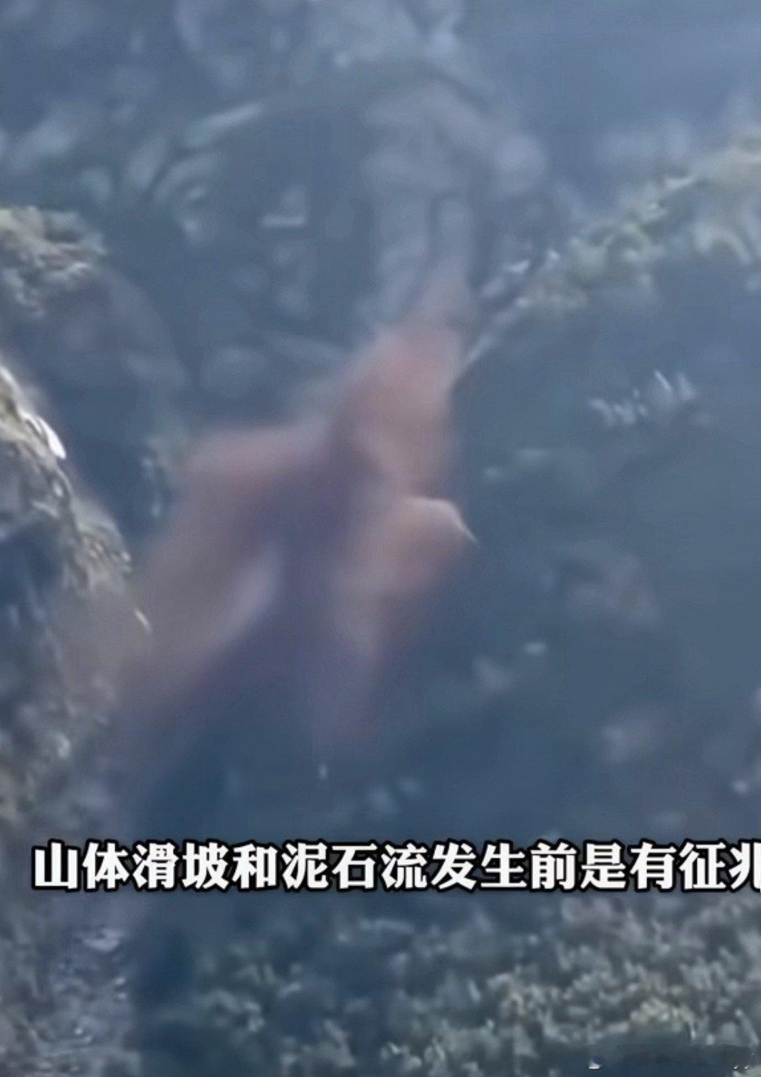 吉隆口岸预警缺失争议边防连无人机探查显示，前往口岸的道路“已经完全损毁”，处于“