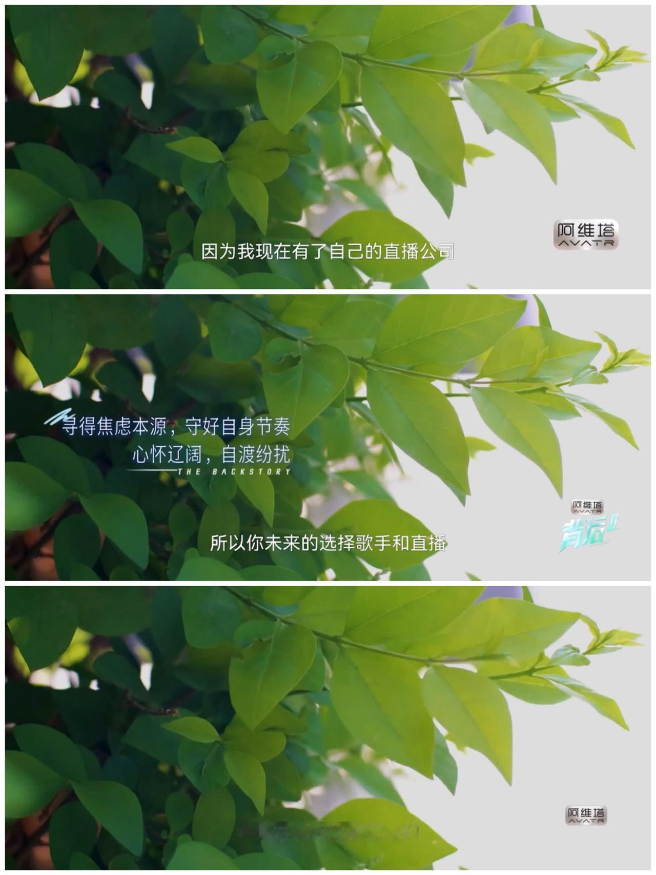 难怪叶一茜在浪姐不用努力，看到这一幕，就完全明白了。张泉灵采访叶一茜叶