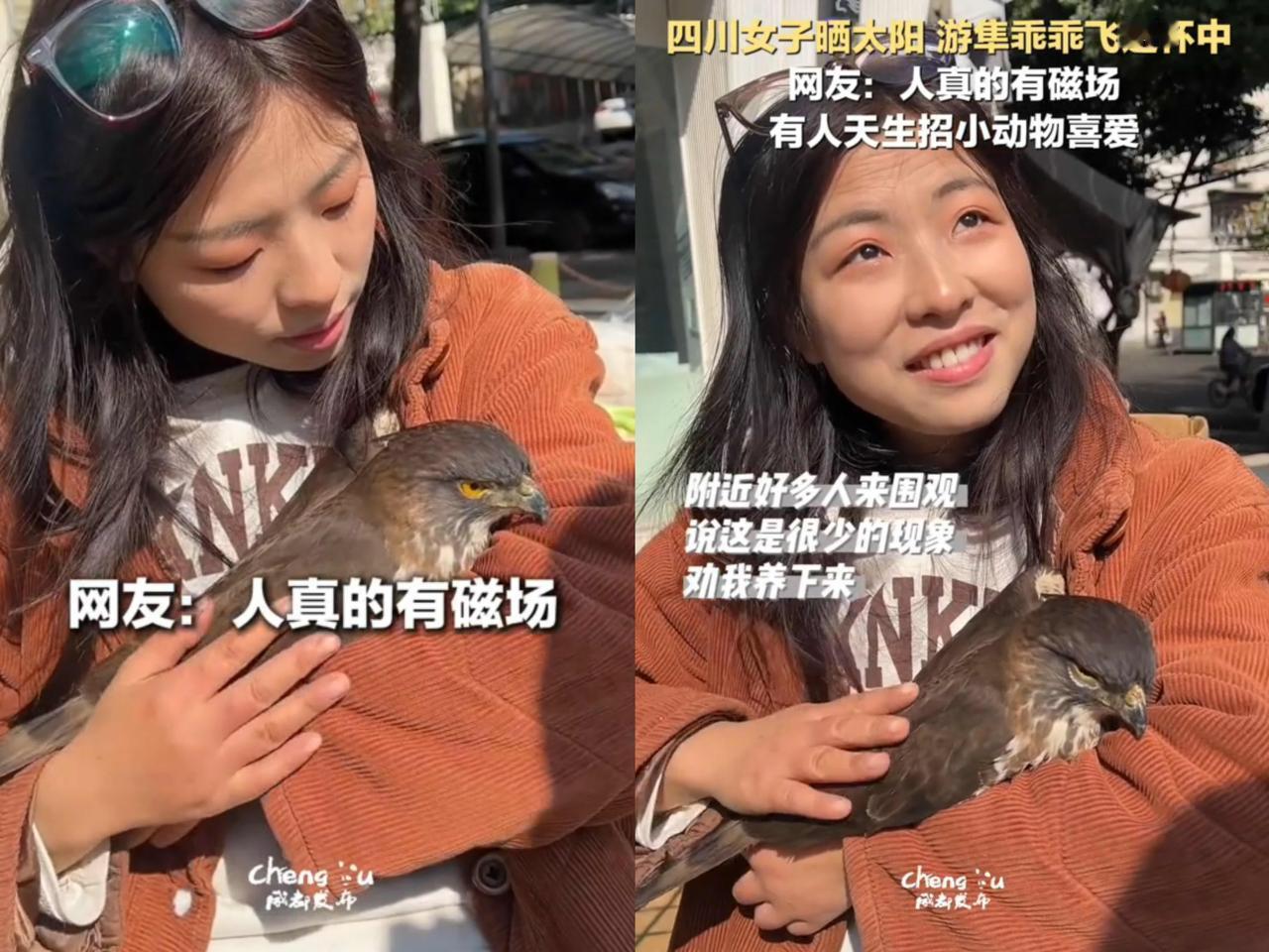 哇塞，一女子在外晒太阳，一只大鸟冷不丁就飞进她怀里啦！起初以为鸟受伤了，