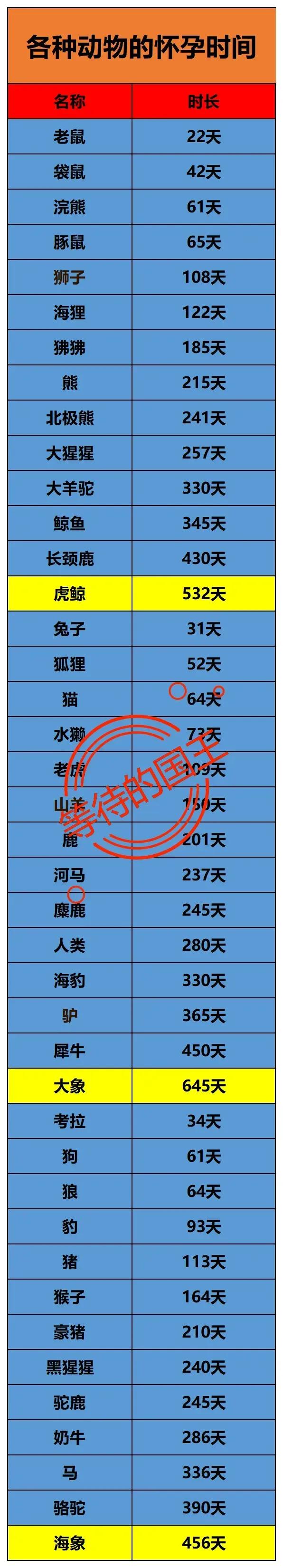 从12天到655天：揭秘哺乳动物怀孕时间的巨大差异