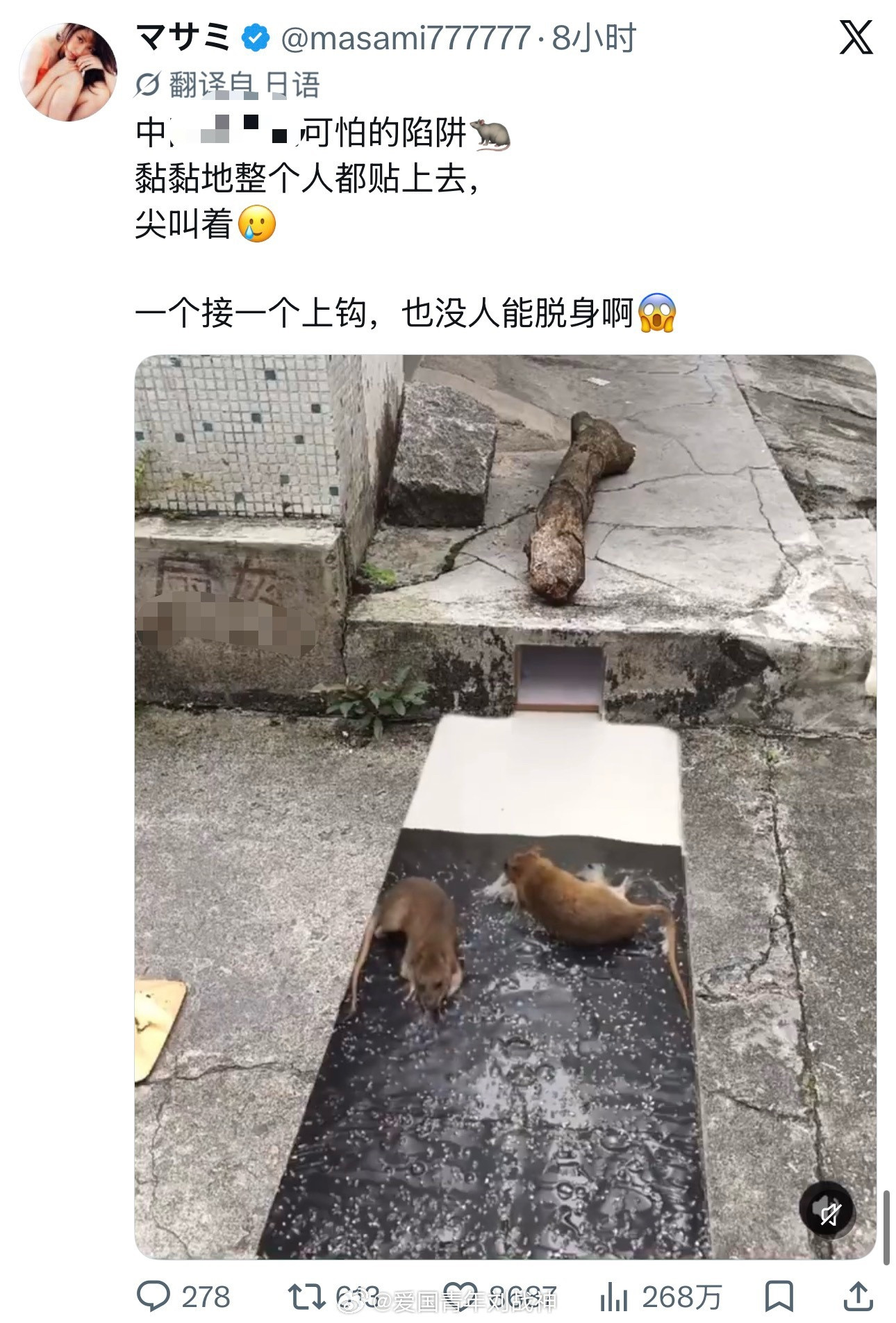 日本人这装什么啊……怎么连老鼠都同情上了，该不会沾到她同类了？[思考]海外新鲜事