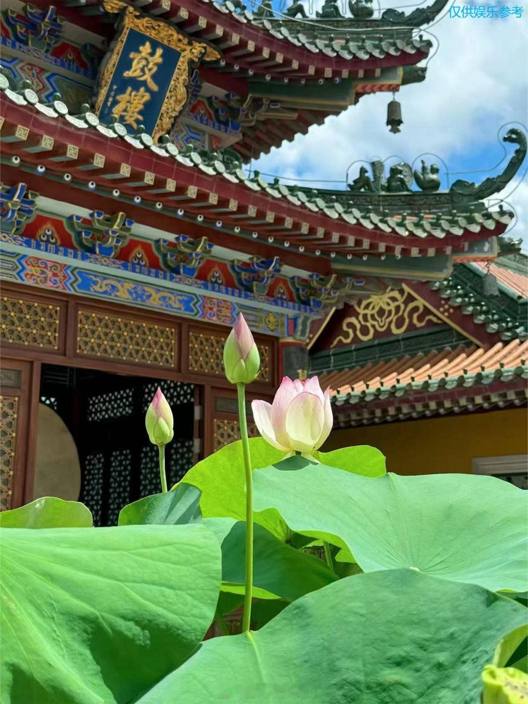 兄妹恋和姐弟恋真的不一样姐弟恋和兄妹恋，根本是两种完全不同的人生很多人以为，姐弟
