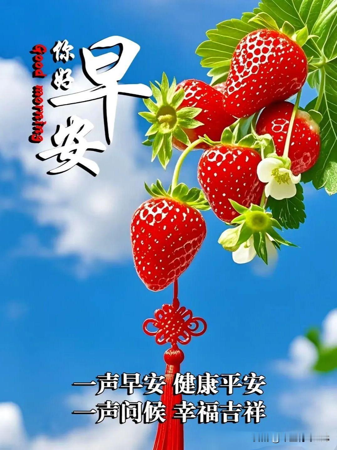 🌺美好的一天开始了，朋友们早上好清晨送您一份好心情，愿您笑口常开，日子