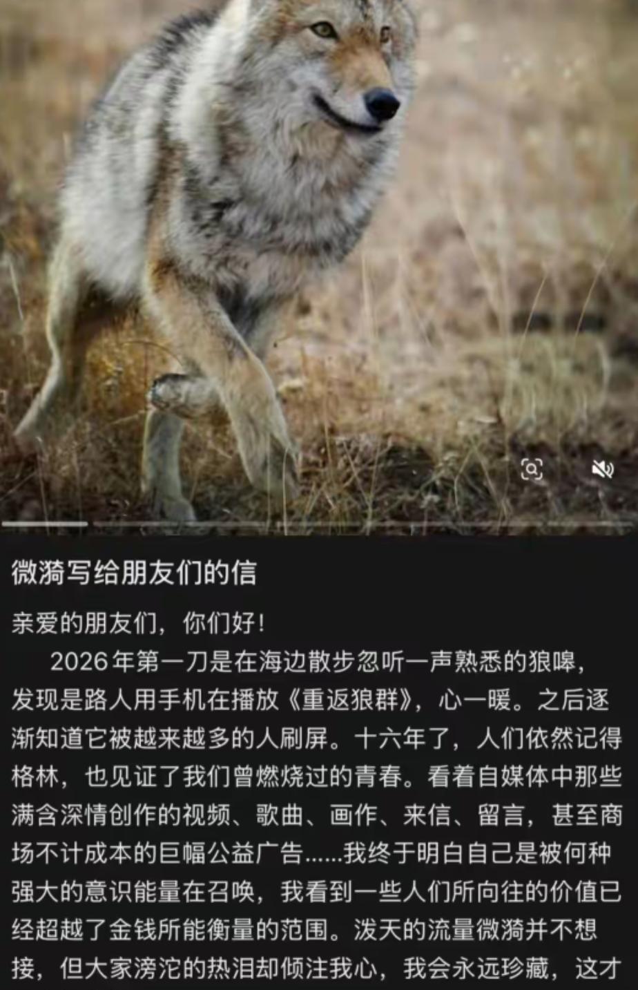 张艺谋对决袁和平，沈腾硬刚吴京，但2026春节档最大的变数，竟是一头9年前的狼。