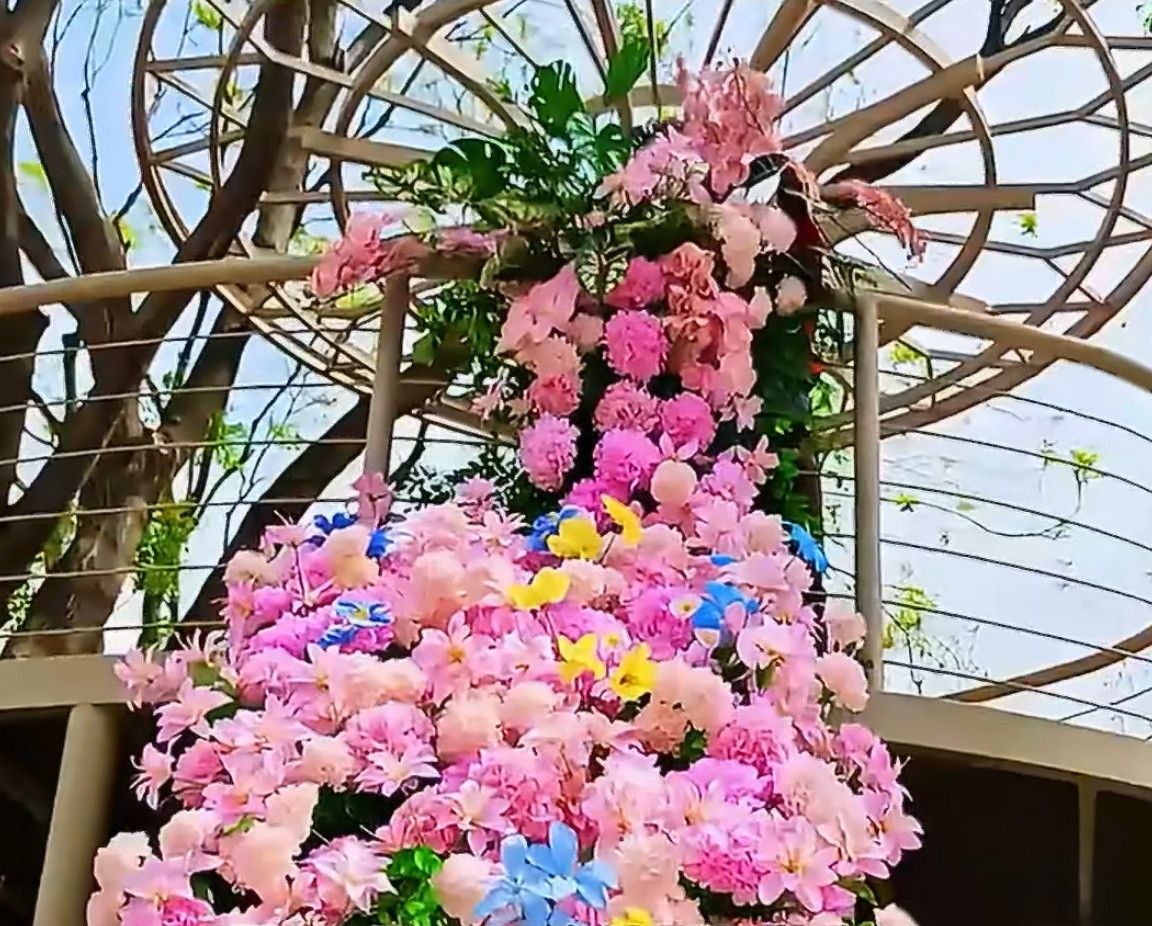 花展最全打卡指南来了杨紫都来打卡了，北京这场花展也太绝了吧～不用特意跑远，街角巷