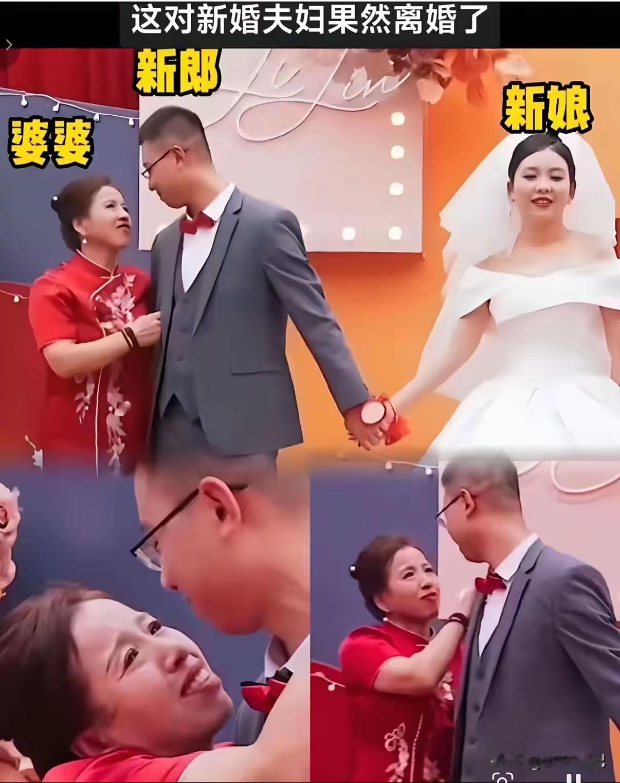 果然离婚了得体地退出，是母亲给儿子最好的结婚礼物儿子结婚了，母亲心里五味杂