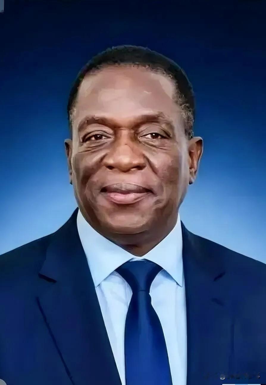 津巴布韦正式拉闸，全面封杀所有初级锂原矿出口！很多人以为，这是针对中国新能源巨头