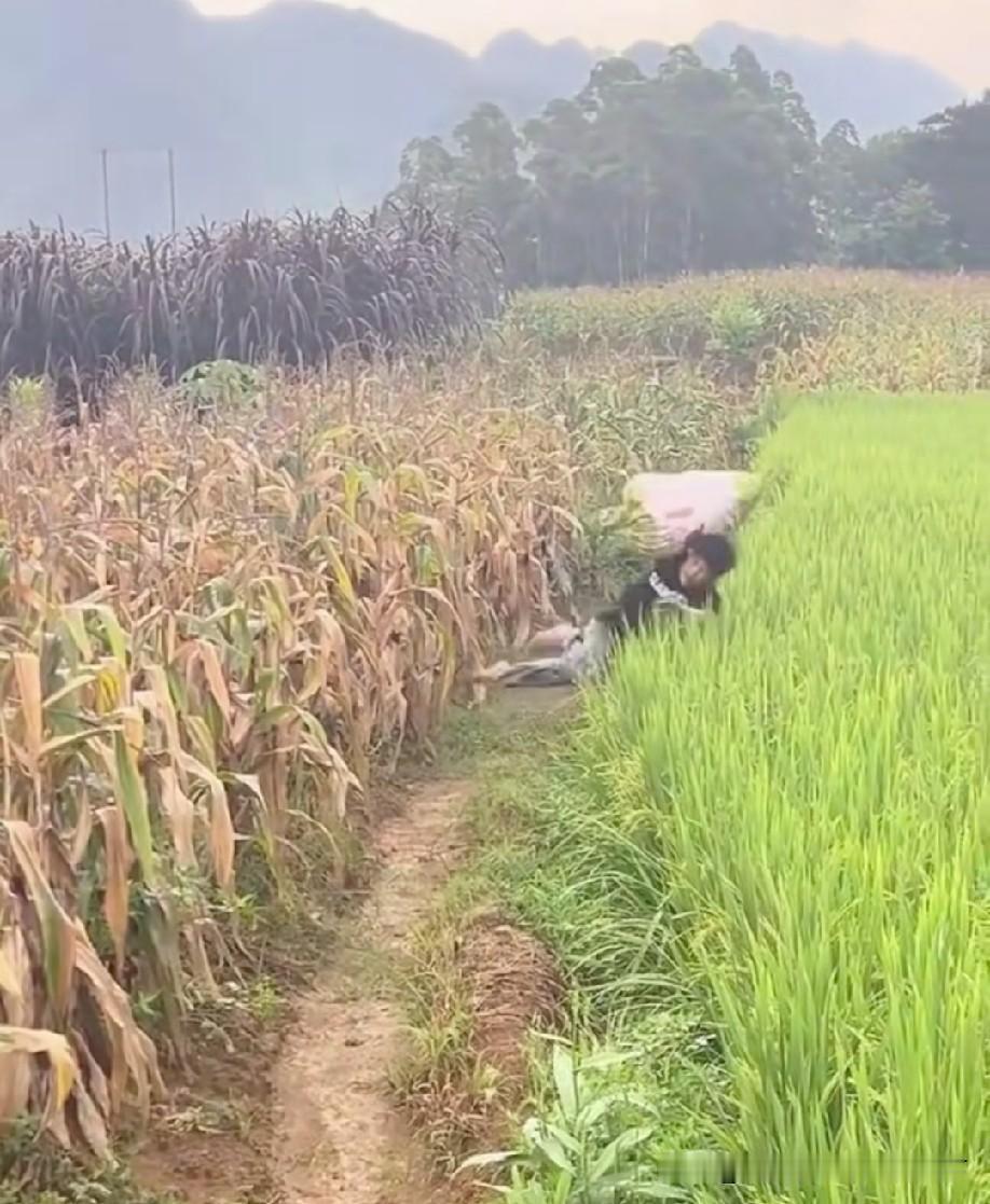 这倒霉催的[捂脸哭]事实证明帅不过5秒