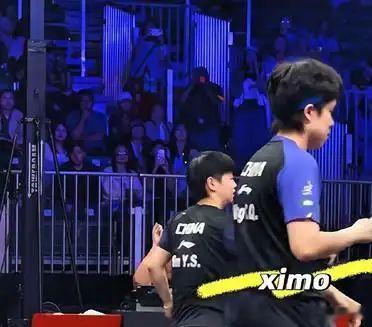 两小只啊，有友友这样说你俩，听到了没？友友说：“女娲造你俩时，只给换了脸，步伐一