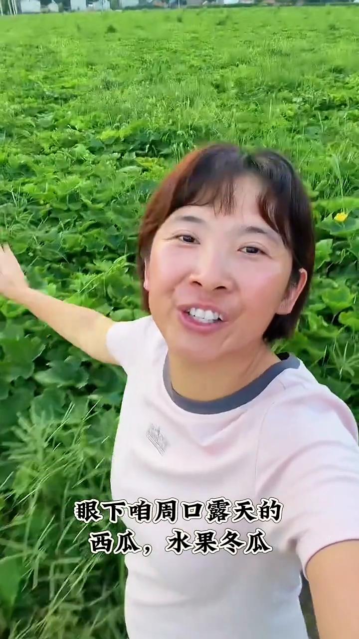 真的也太给力了，河南的路虎邀请吴克群亲临开封，助力河南西瓜。人家外地的明星都在为