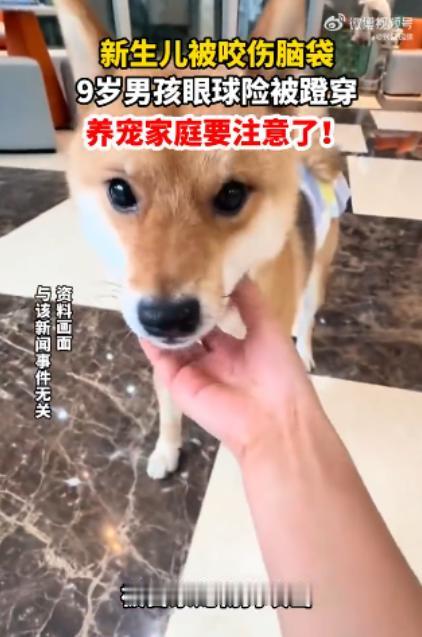 浙江杭州，一对年轻夫妇抱着襁褓中才出生17天的新生儿冲进医院急诊犬伤门诊——就在