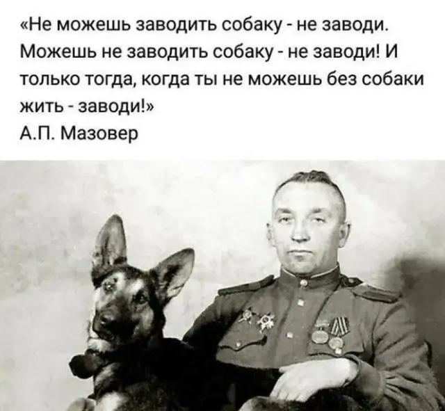 卫国战争爆发前，只有17岁的斯达罗便应征参加了苏联红军。来到部队他被分配到军犬训