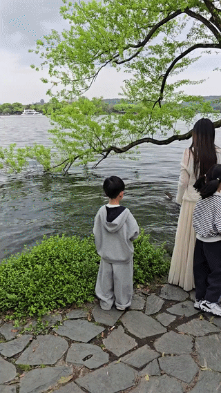几乎每年都有游客不慎掉进浙江杭州的西湖里！为什么杭州西湖景区不在岸边加装护栏呢