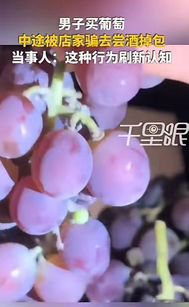 河南一男子去葡萄园采摘，采摘完了，等着封箱过秤，这时候，老板给他介绍他们家的葡萄