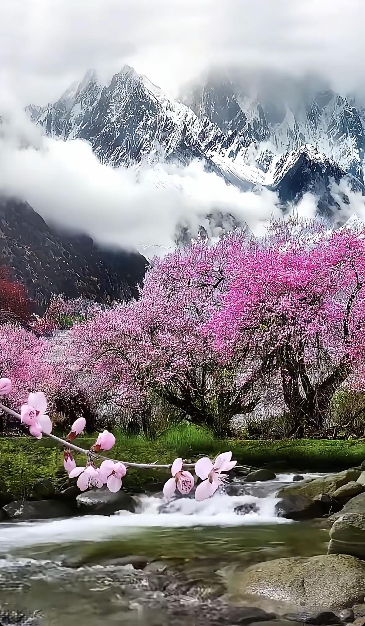 人到中年，才慢慢醒悟：这一生最不该亏欠的，其实是自己。前半生，我们总在顾