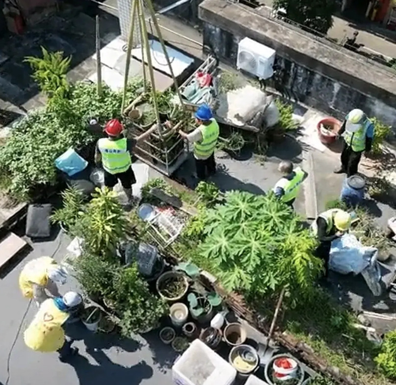 广州为了杀蚊强制拆除阳台绿植，可2021年广州还在鼓励阳台种菜，增加绿化面积呢？