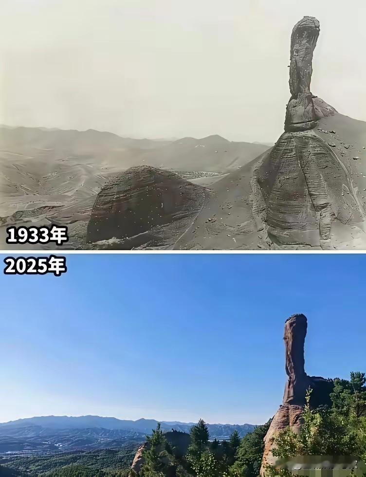 翻到老照片才想起，从前的山多是光秃秃的，老家附近也不例外。那时家家户户生火做饭、