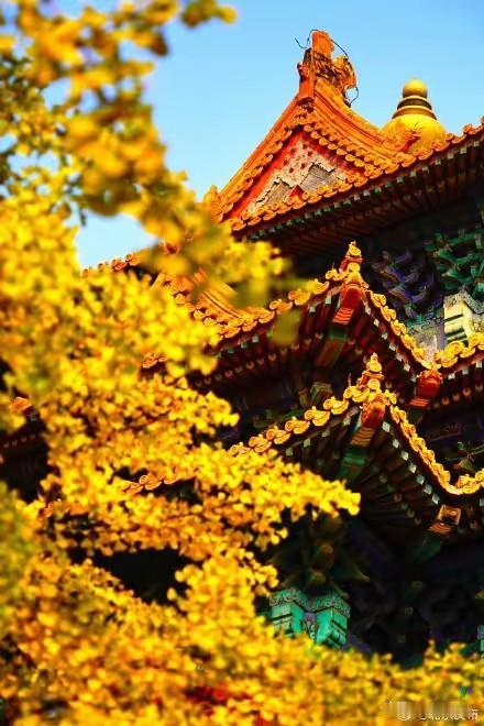 感恩宇宙，感谢贵人。最后这句，要轻轻地说。感恩宇宙，不是因为它满足了你所有的