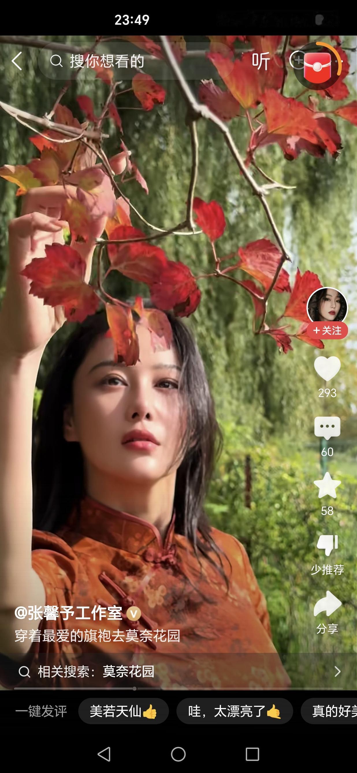 网友吐槽张馨予的双眼皮太宽了，一看就像割的，鼻孔是三角形的……，也像……人造景观