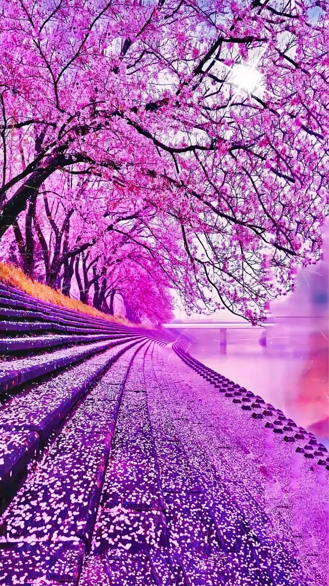 高清好看，赏心悦目的壁纸，需要的任意取之！赏心悦目壁纸高画质壁纸风景