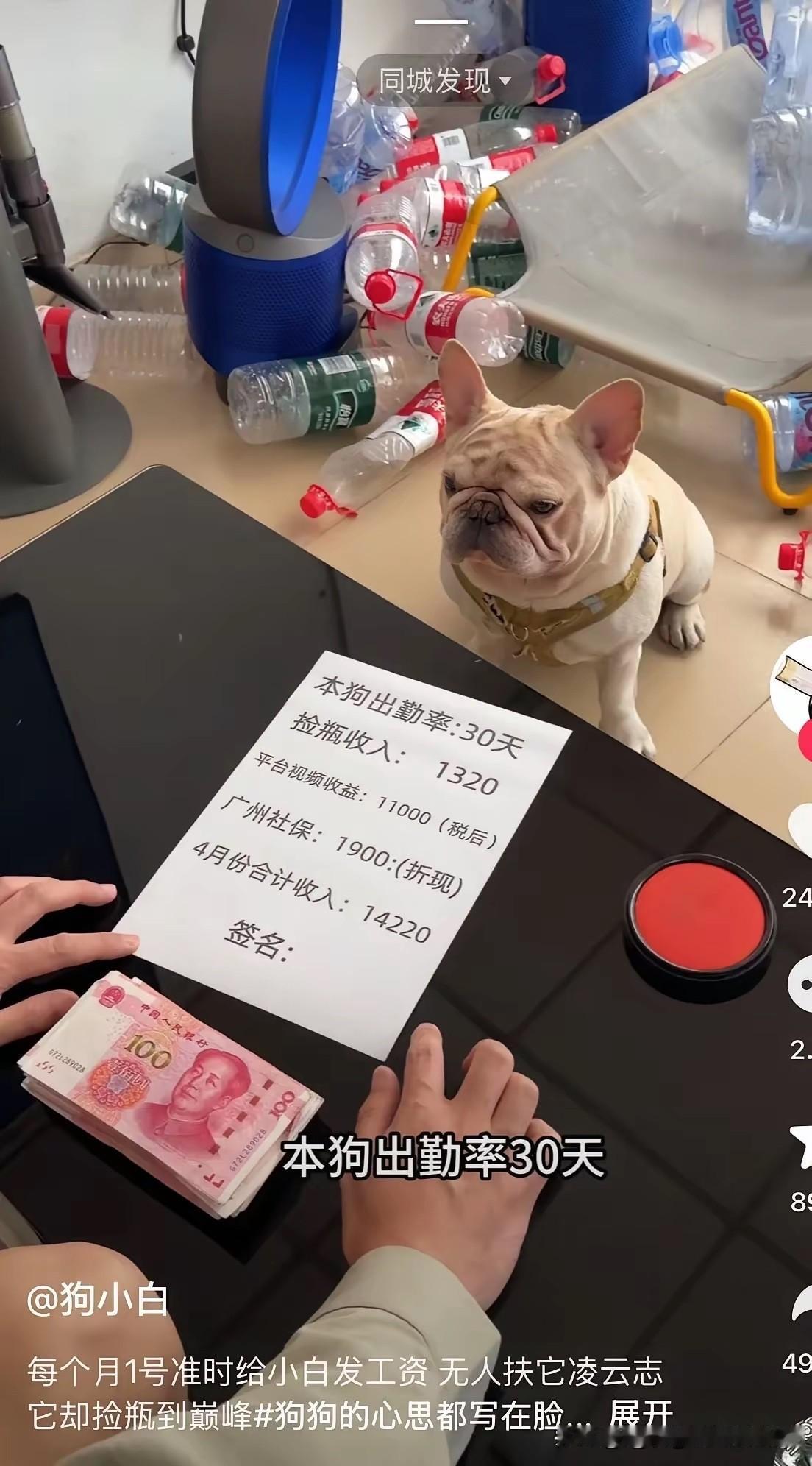 老天呐，这狗子是动物界的首富[赞][赞][赞]