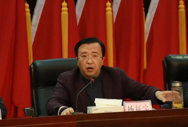 涉嫌严重违纪违法, 杨征宇被查