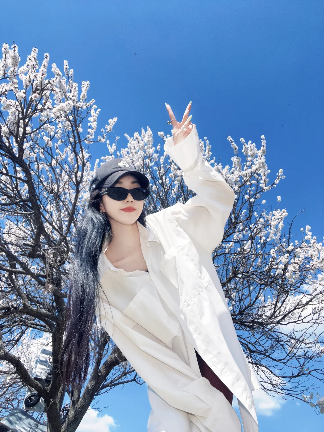 那拉提的春日浪漫～杏花谷🌸