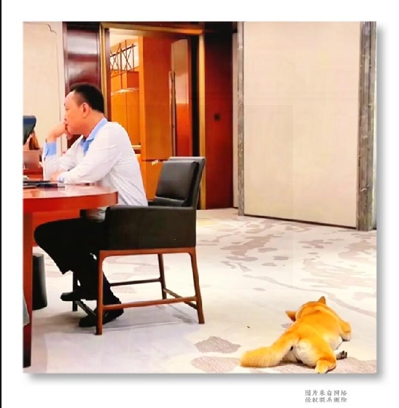 一张内部会议抓拍，让我们看到黄光裕不一样的一面。正式的会议室里面，他坐在圆